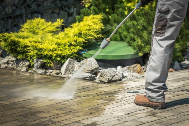 Best Pre-Holiday Cleaning  in Watergate, FL